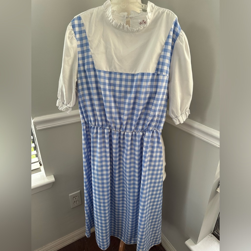 Wizard of Oz  Dorothy Dress Costume